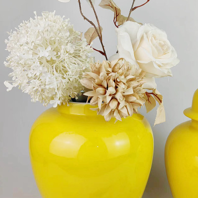 Creative ceramic vase decoration ornaments 48